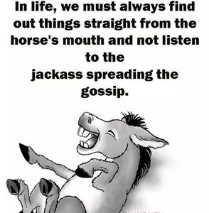 Meet your Posher, Glenda